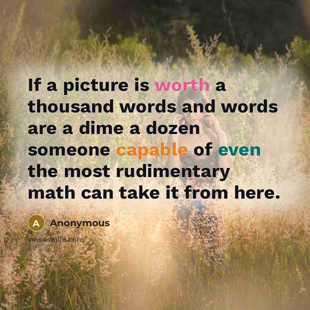 “If a picture is worth a thousand words and words are a dime a dozen someone capable of even the most rudimentary math can take it from here.” quote by Anonymous