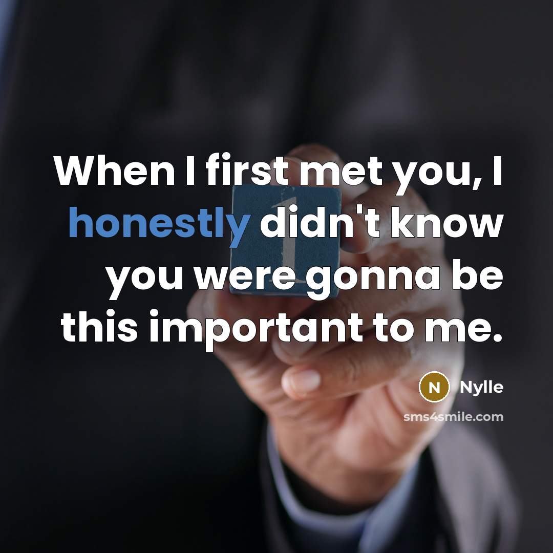 “When I first met you, I honestly didn't know you were gonna be this important to me.” quote by Nylle
