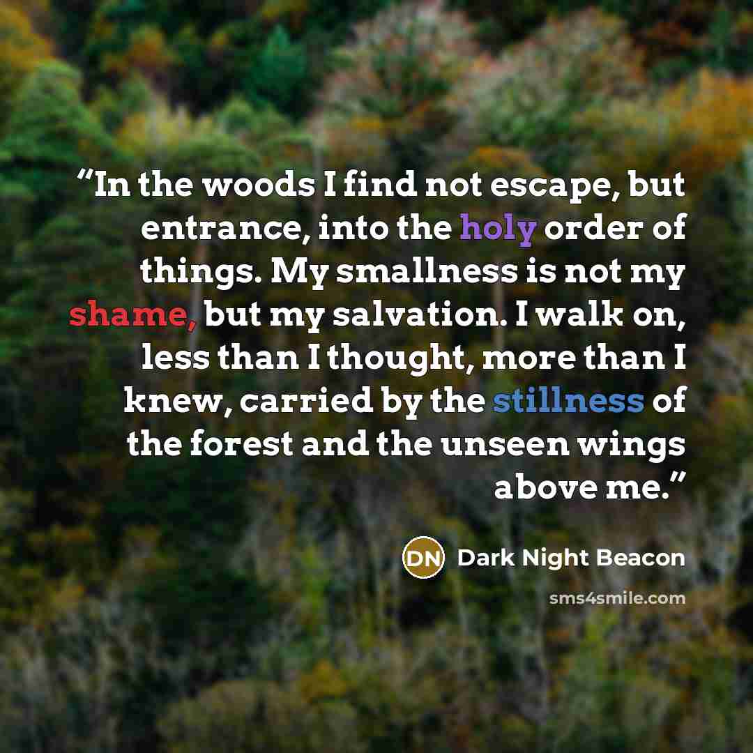 “In the woods I find not escape, but entrance, into the holy order of things. My smallness is not my shame, but my salvation. I walk on, less than I thought, more than I knew, carried by the stillness of the forest and the unseen wings above me.” quote by Dark Night Beacon