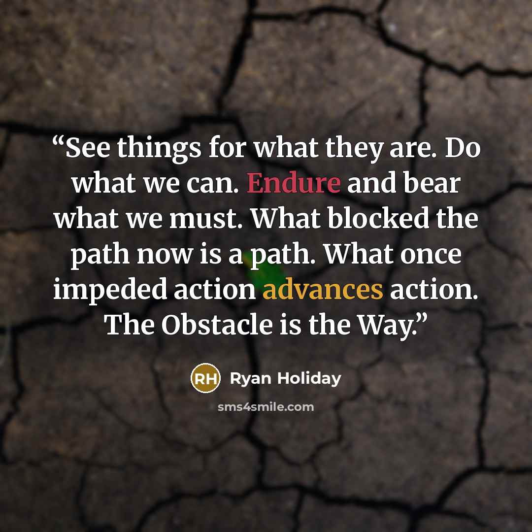“See things for what they are. Do what we can. Endure and bear what we must. What blocked the path now is a path. What once impeded action advances action. The Obstacle is the Way.” quote by Ryan Holiday