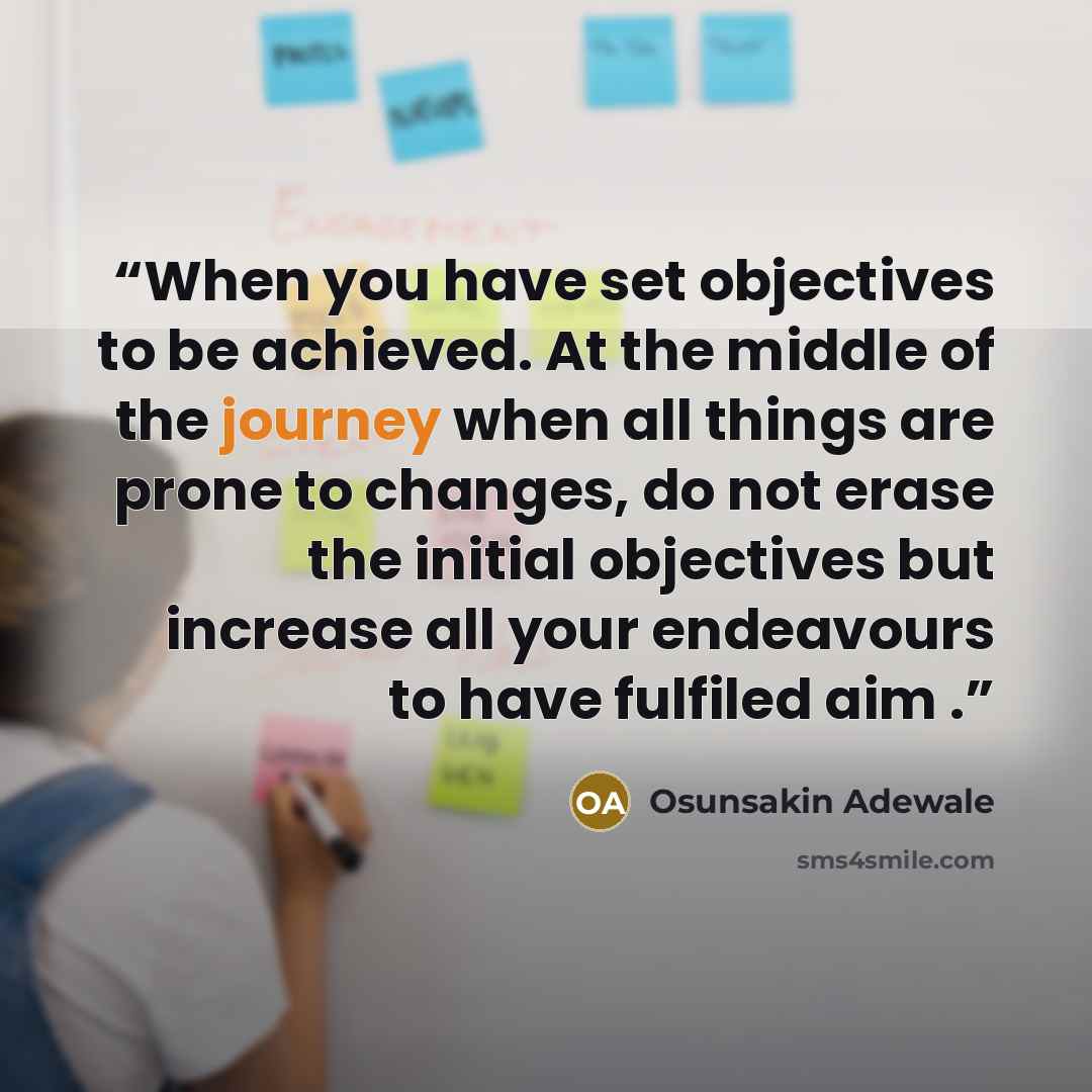 “When you have set objectives to be achieved. At the middle of the journey when all things are prone to changes, do not erase the initial objectives but increase all your endeavours to have fulfiled aim .” quote by Osunsakin Adewale