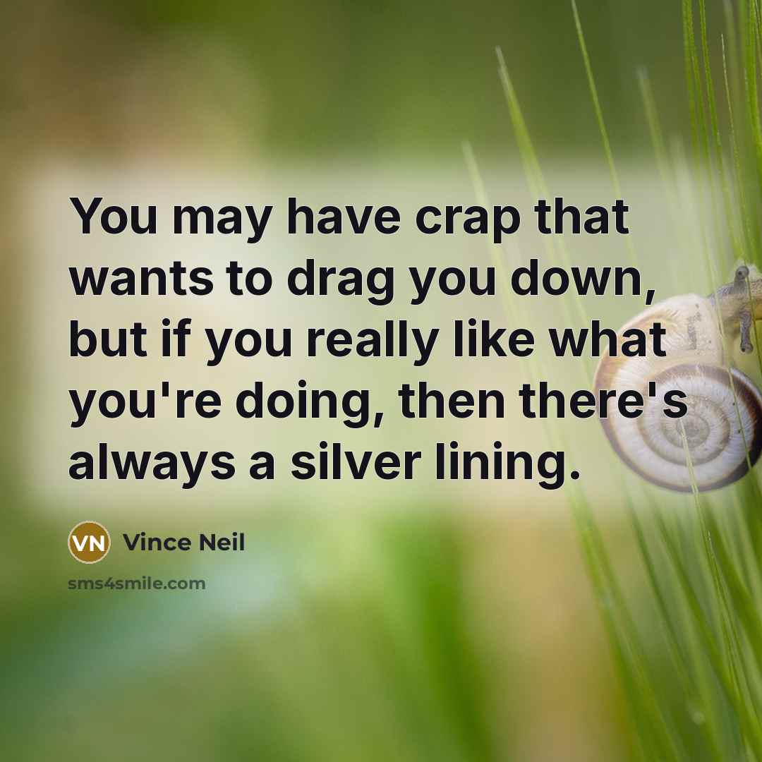 “You may have crap that wants to drag you down, but if you really like what you're doing, then there's always a silver lining.” quote by Vince Neil