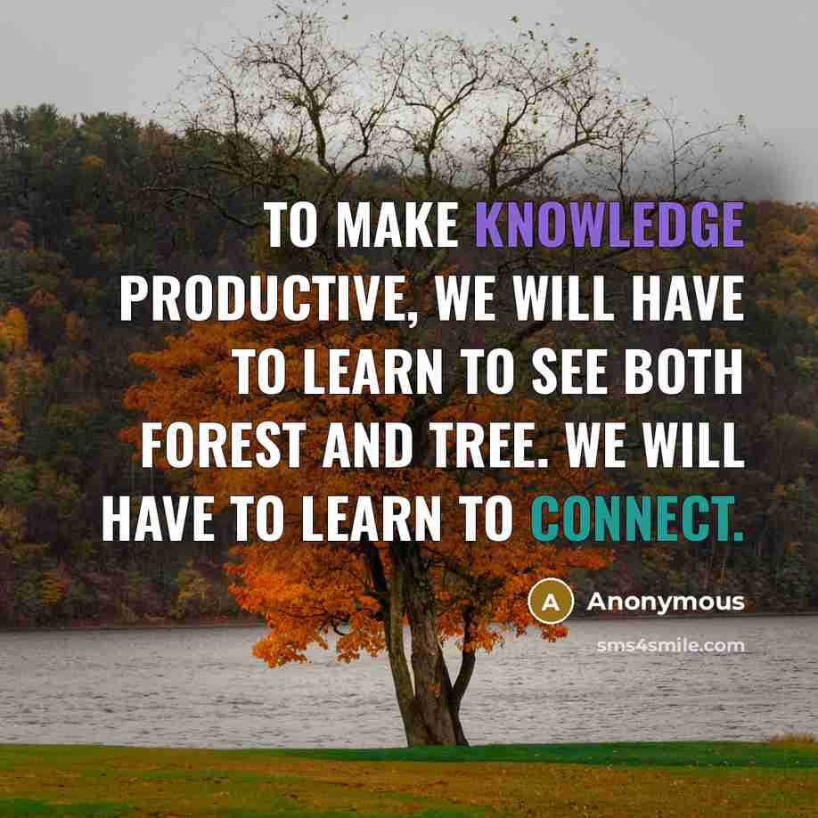 “To make knowledge productive, we will have to learn to see both forest and tree. We will have to learn to connect.” quote by Anonymous
