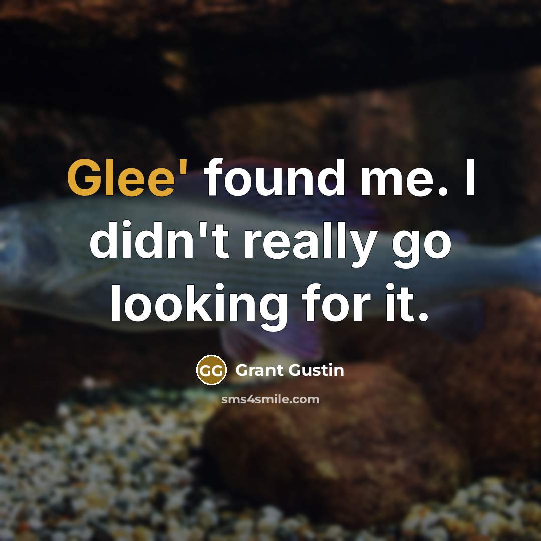“Glee' found me. I didn't really go looking for it.” quote by Grant Gustin