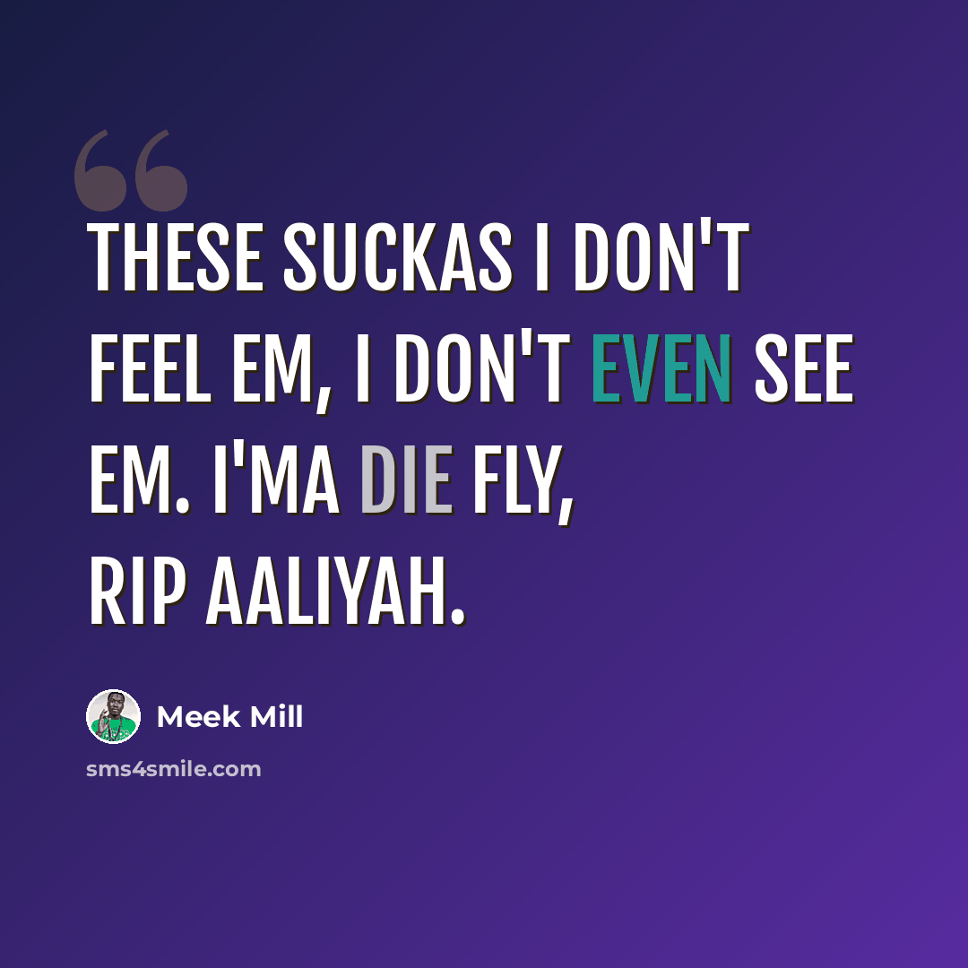 “These suckas I don't feel em, I don't even see em. I'ma die fly, RIP Aaliyah.” quote by Meek Mill