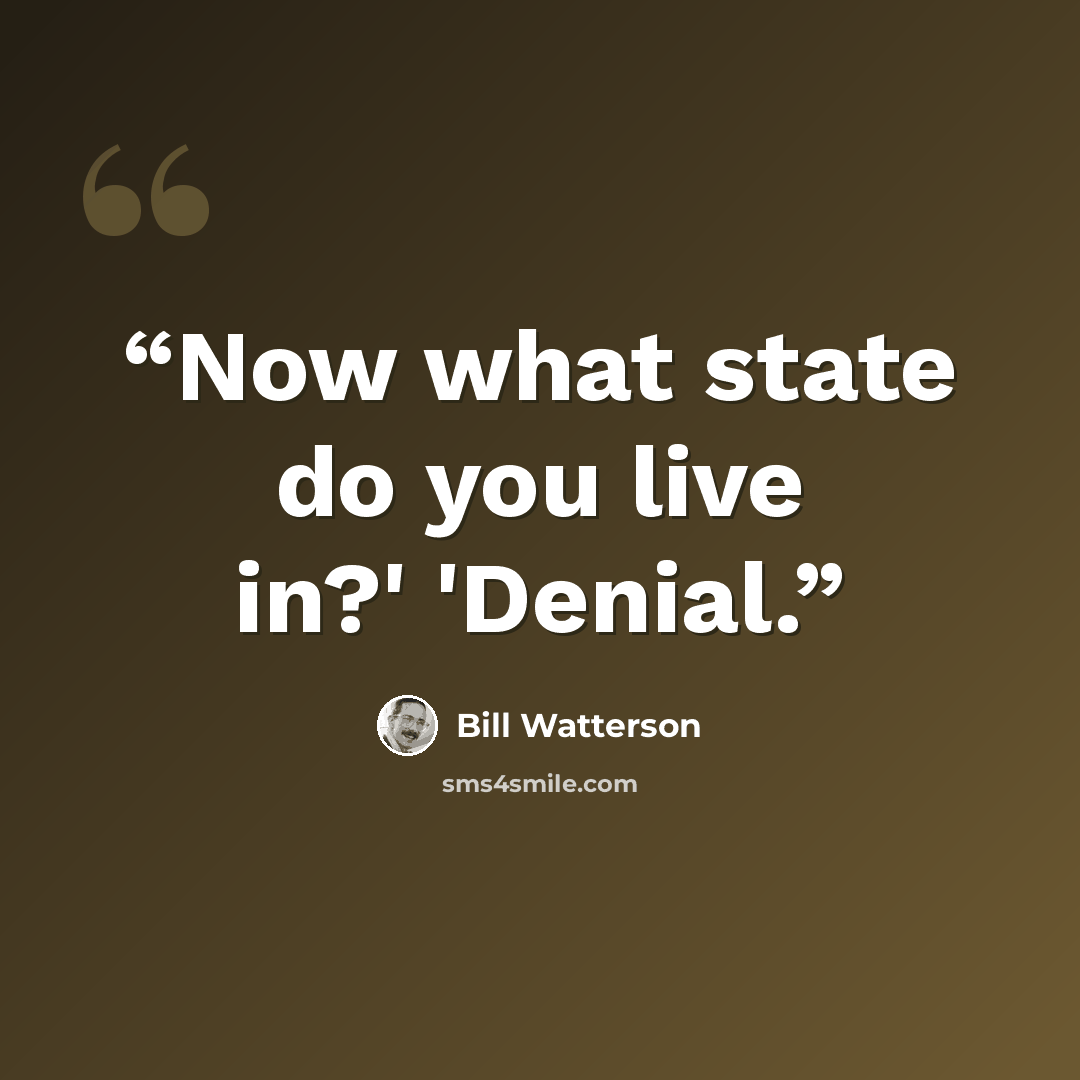 “Now what state do you live in?' 'Denial.” quote by Bill Watterson