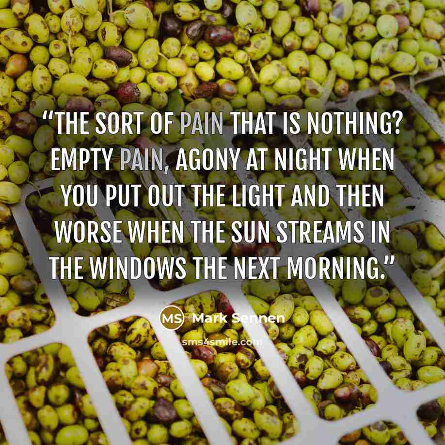 “The sort of pain that is nothing? Empty pain, agony at night when you put out the light and then worse when the sun streams in the windows the next morning.” quote by Mark Sennen