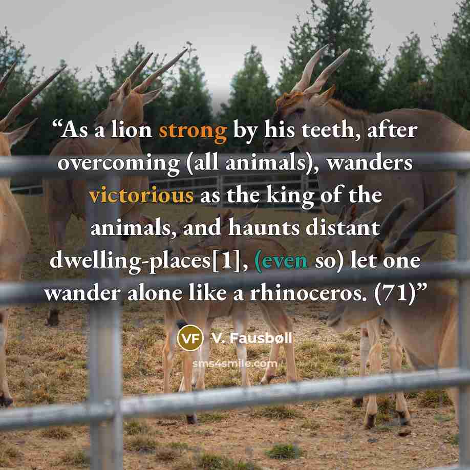“As a lion strong by his teeth, after overcoming (all animals), wanders victorious as the king of the animals, and haunts distant dwelling-places[1], (even so) let one wander alone like a rhinoceros. (71)” quote by V. Fausbøll