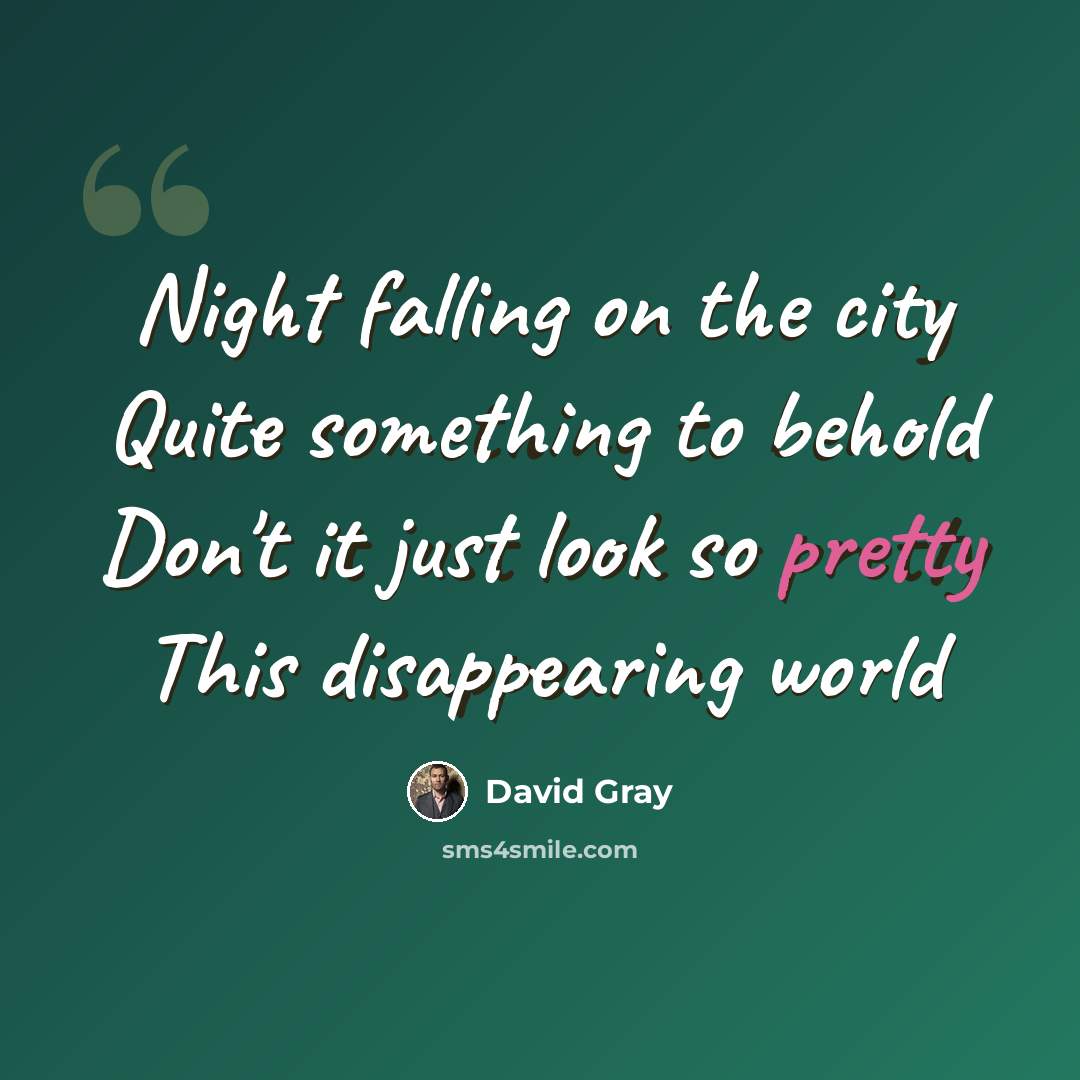“Night falling on the city Quite something to behold Don't it just look so pretty This disappearing world” quote by David Gray
