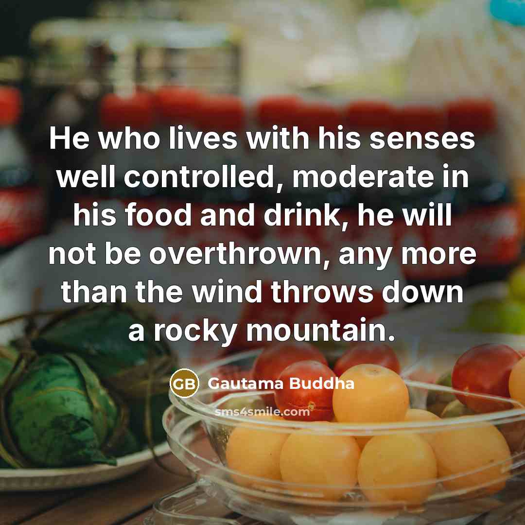 “He who lives with his senses well controlled, moderate in his food and drink, he will not be overthrown, any more than the wind throws down a rocky mountain.” quote by Gautama Buddha