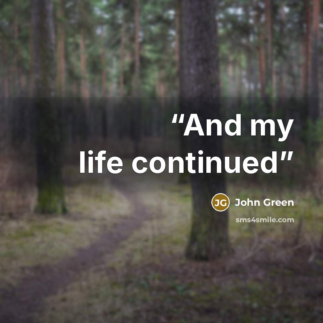 “And my life continued” quote by John Green