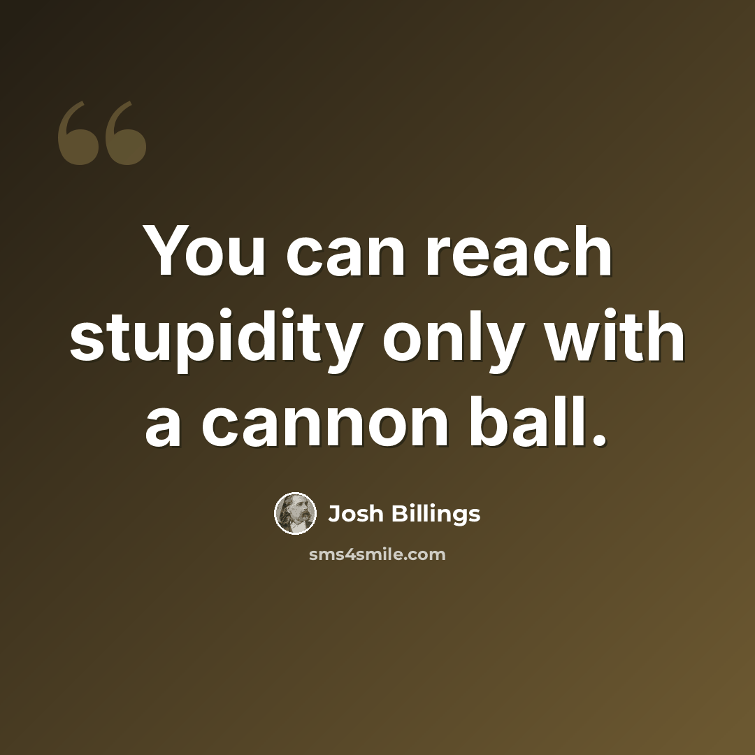 “You can reach stupidity only with a cannon ball.” quote by Josh Billings