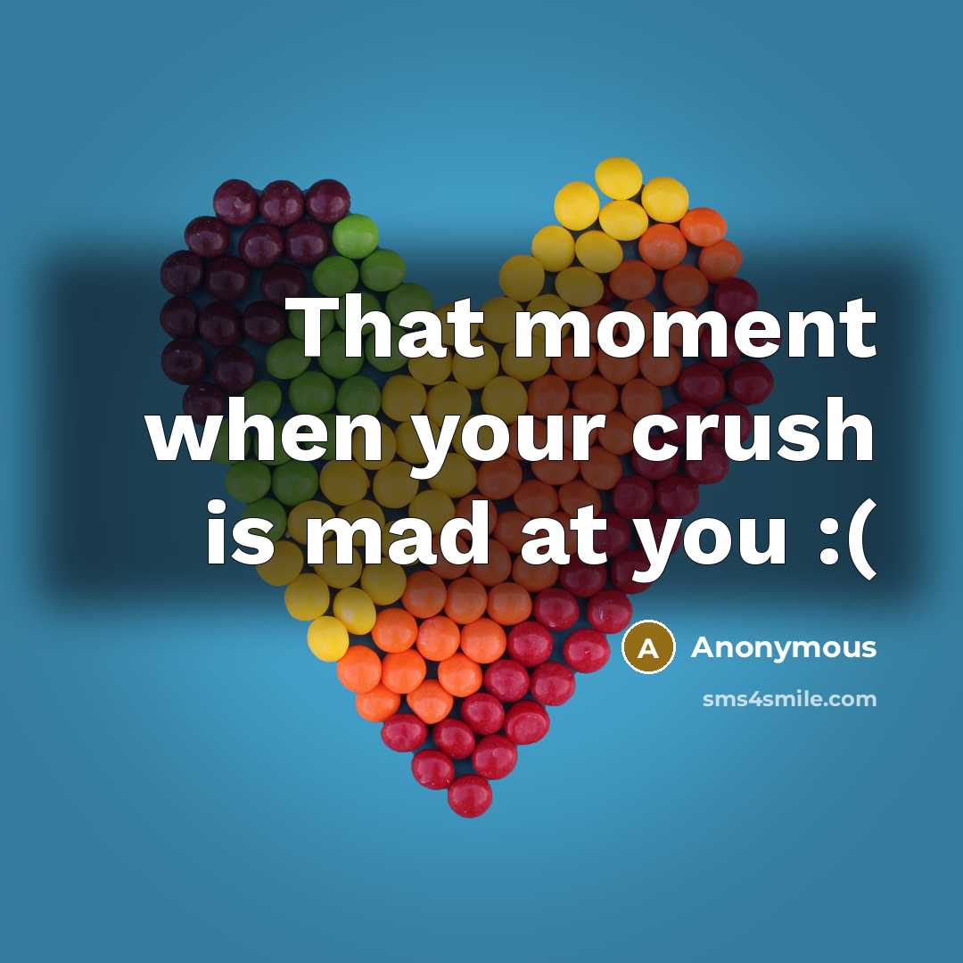 “That moment when your crush is mad at you :(” quote by Anonymous