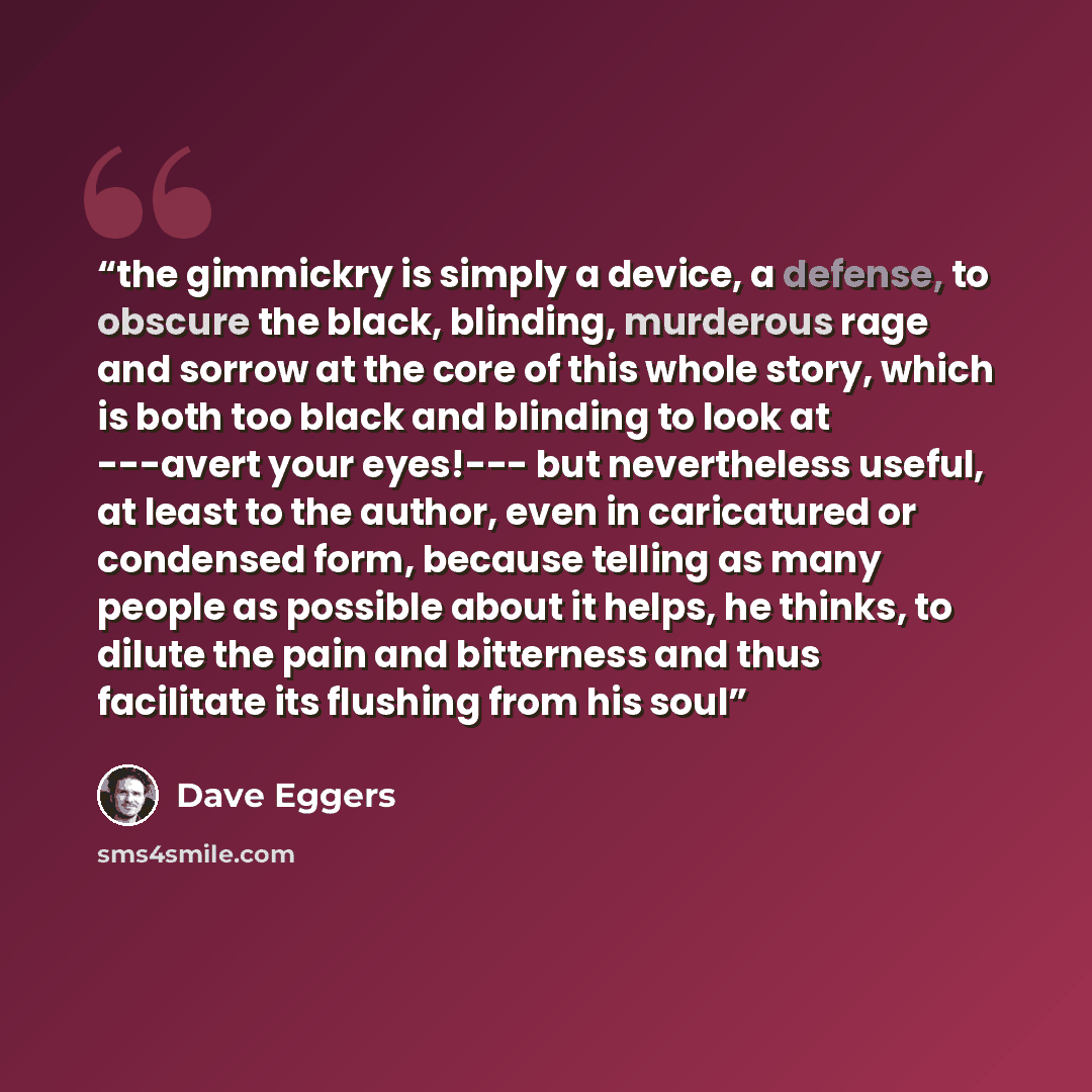 “the gimmickry is simply a device, a defense, to obscure the black, blinding, murderous rage and sorrow at the core of this whole story, which is both too black and blinding to look at ---avert your eyes!--- but nevertheless useful, at least to the author, even in caricatured or condensed form…” quote by Dave Eggers