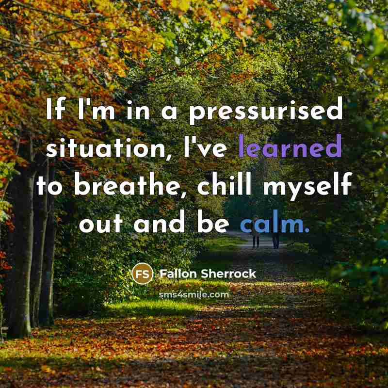 “If I'm in a pressurised situation, I've learned to breathe, chill myself out and be calm.” quote by Fallon Sherrock