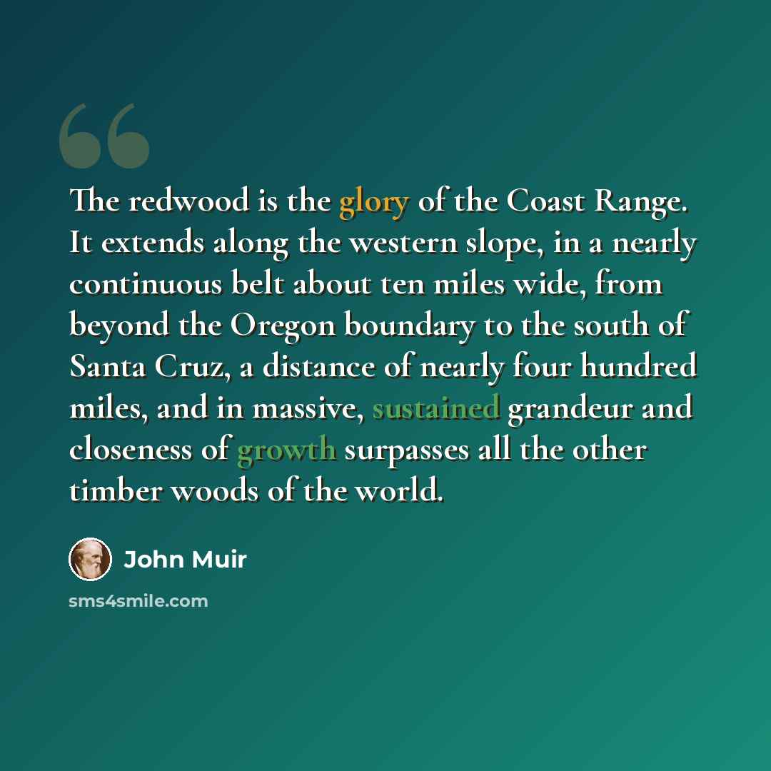 “The redwood is the glory of the Coast Range. It extends along the western slope, in a nearly continuous belt about ten miles wide, from beyond the Oregon boundary to the south of Santa Cruz, a distance of nearly four hundred miles, and in massive, sustained grandeur and closeness of growth…” quote by John Muir