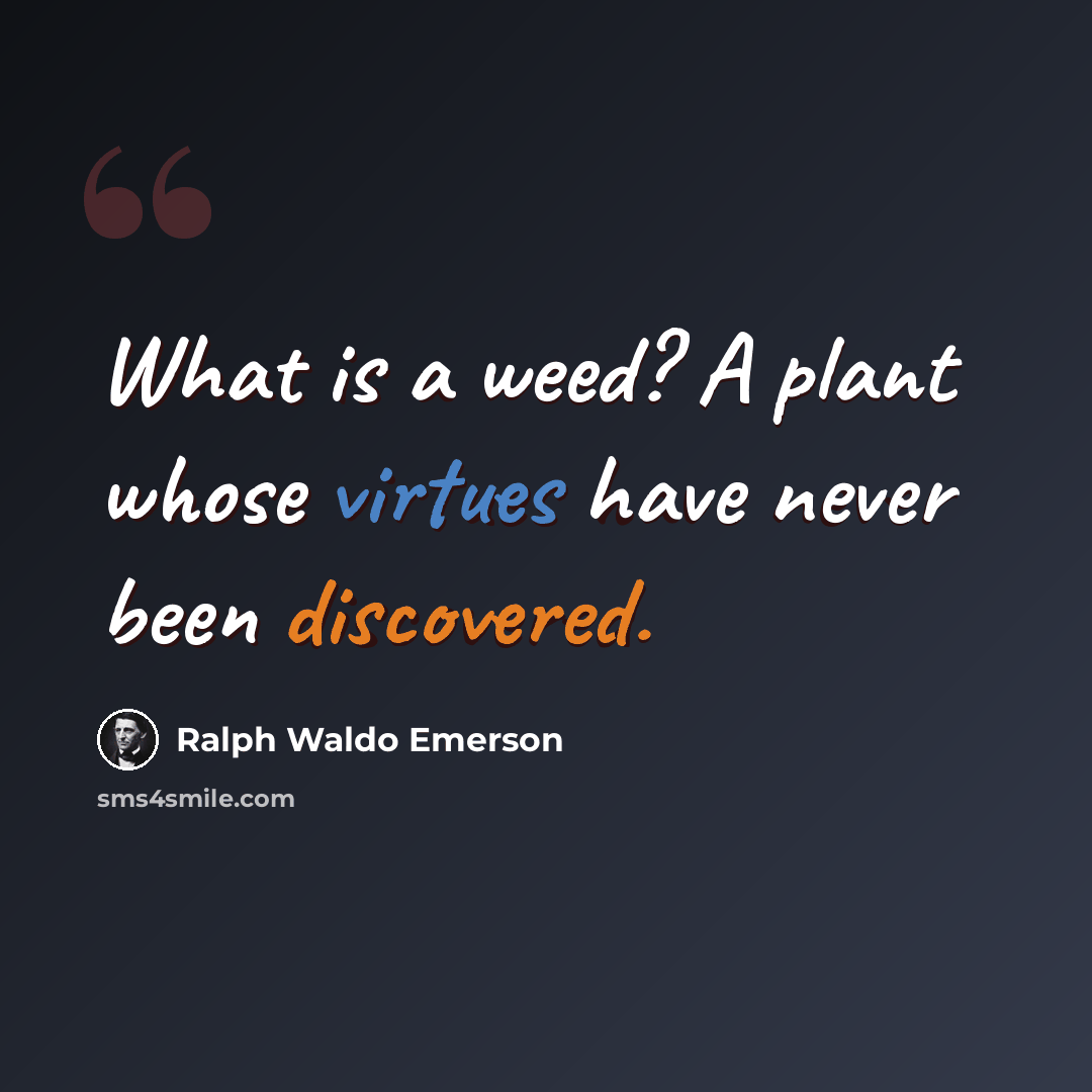 “What is a weed? A plant whose virtues have never been discovered.” quote by Ralph Waldo Emerson