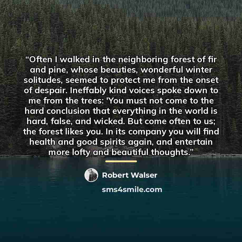 “Often I walked in the neighboring forest of fir and pine, whose beauties, wonderful winter solitudes, seemed to protect me from the onset of despair. Ineffably kind voices spoke down to me from the trees: 'You must not come to the hard conclusion that everything in the world is hard, false, and…” quote by Robert Walser