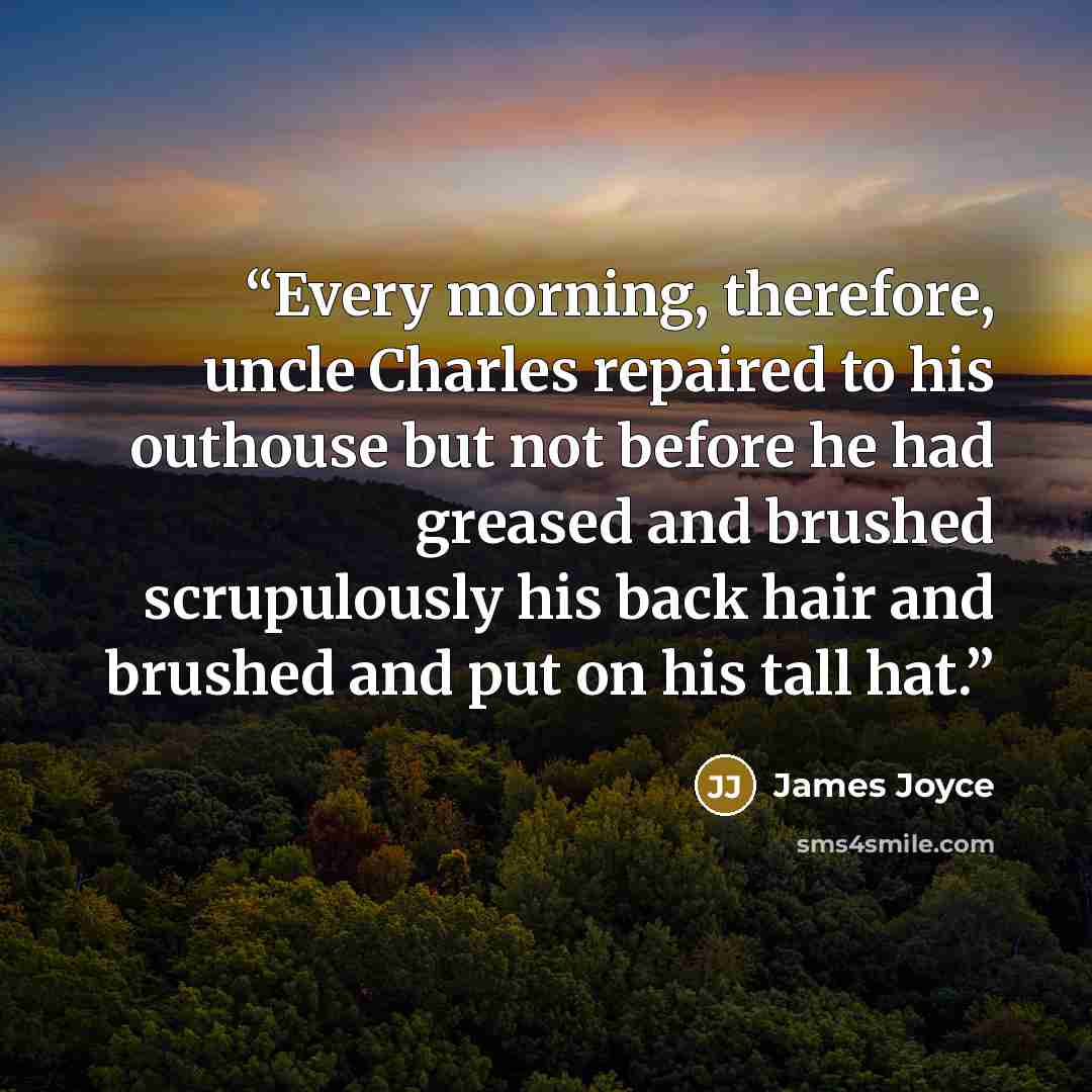 “Every morning, therefore, uncle Charles repaired to his outhouse but not before he had greased and brushed scrupulously his back hair and brushed and put on his tall hat.” quote by James Joyce