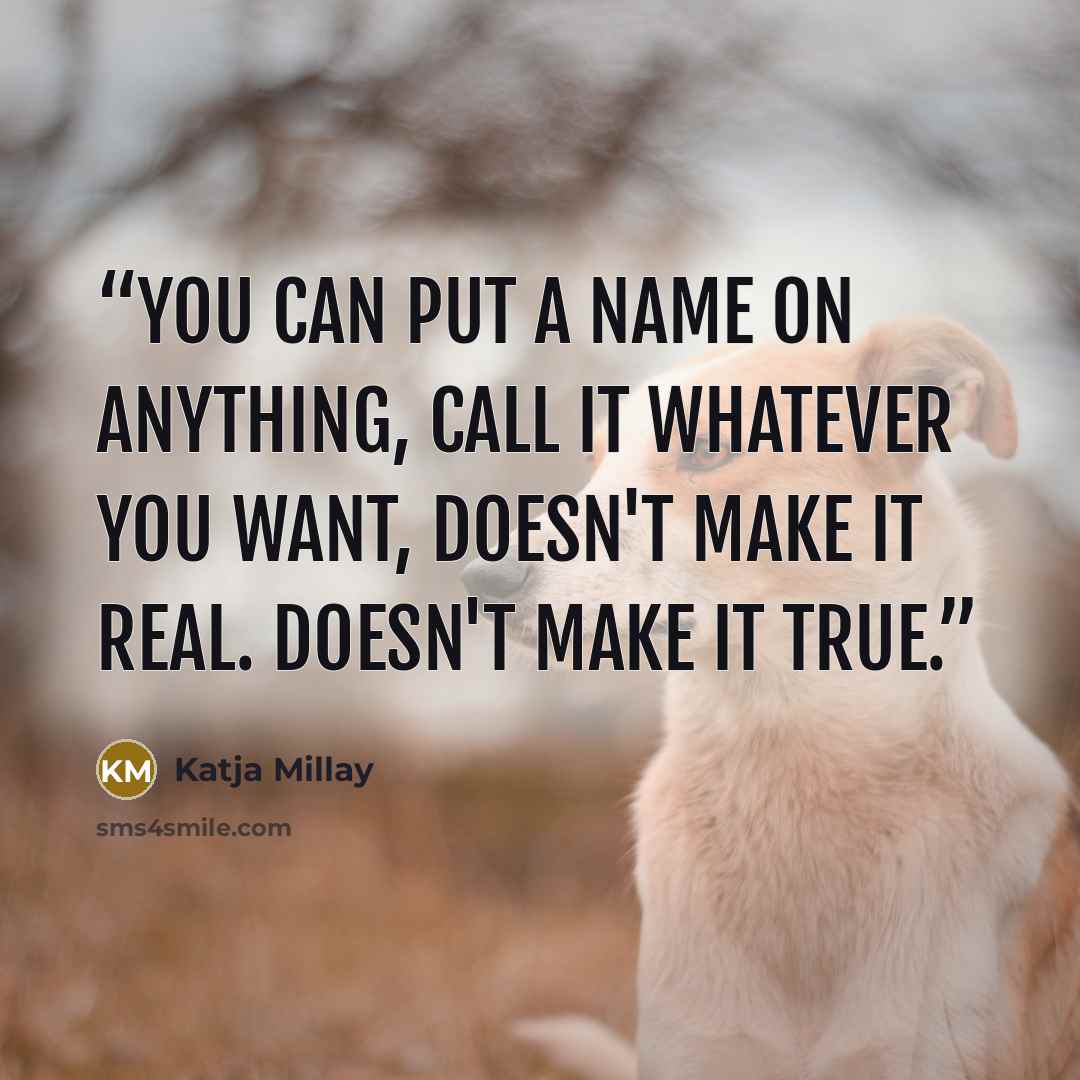 “You can put a name on anything, call it whatever you want, doesn't make it real. Doesn't make it true.” quote by Katja Millay