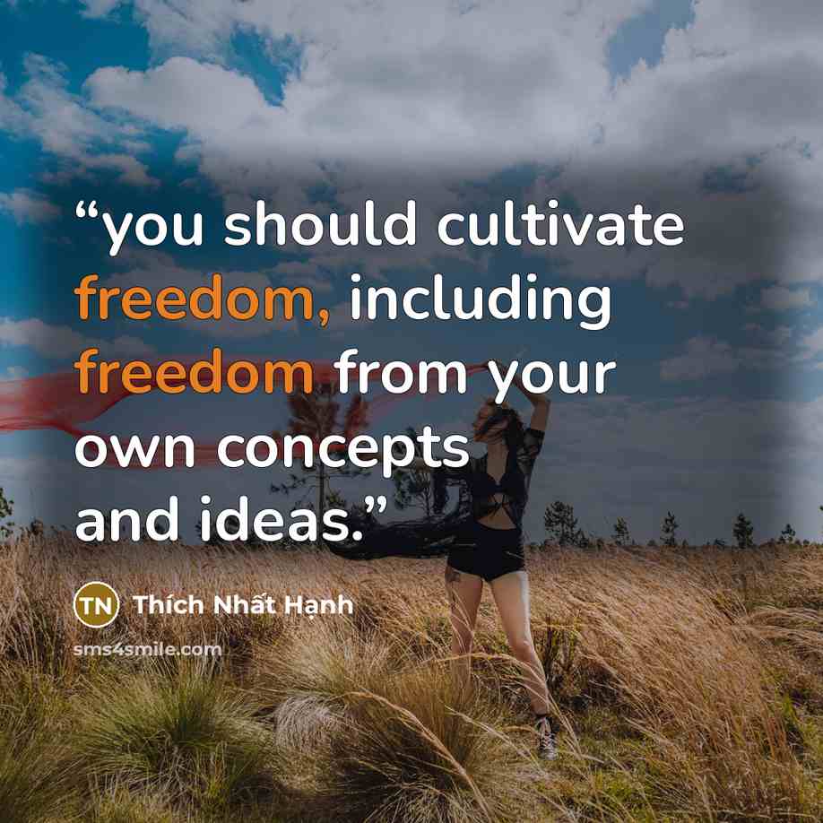 “you should cultivate freedom, including freedom from your own concepts and ideas.” quote by Thich Nhat Hanh
