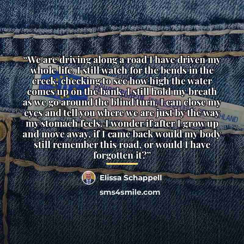 “We are driving along a road I have driven my whole life. I still watch for the bends in the creek, checking to see how high the water comes up on the bank, I still hold my breath as we go around the blind turn, I can close my eyes and tell you where we are just by the way my stomach feels. I…” quote by Elissa Schappell