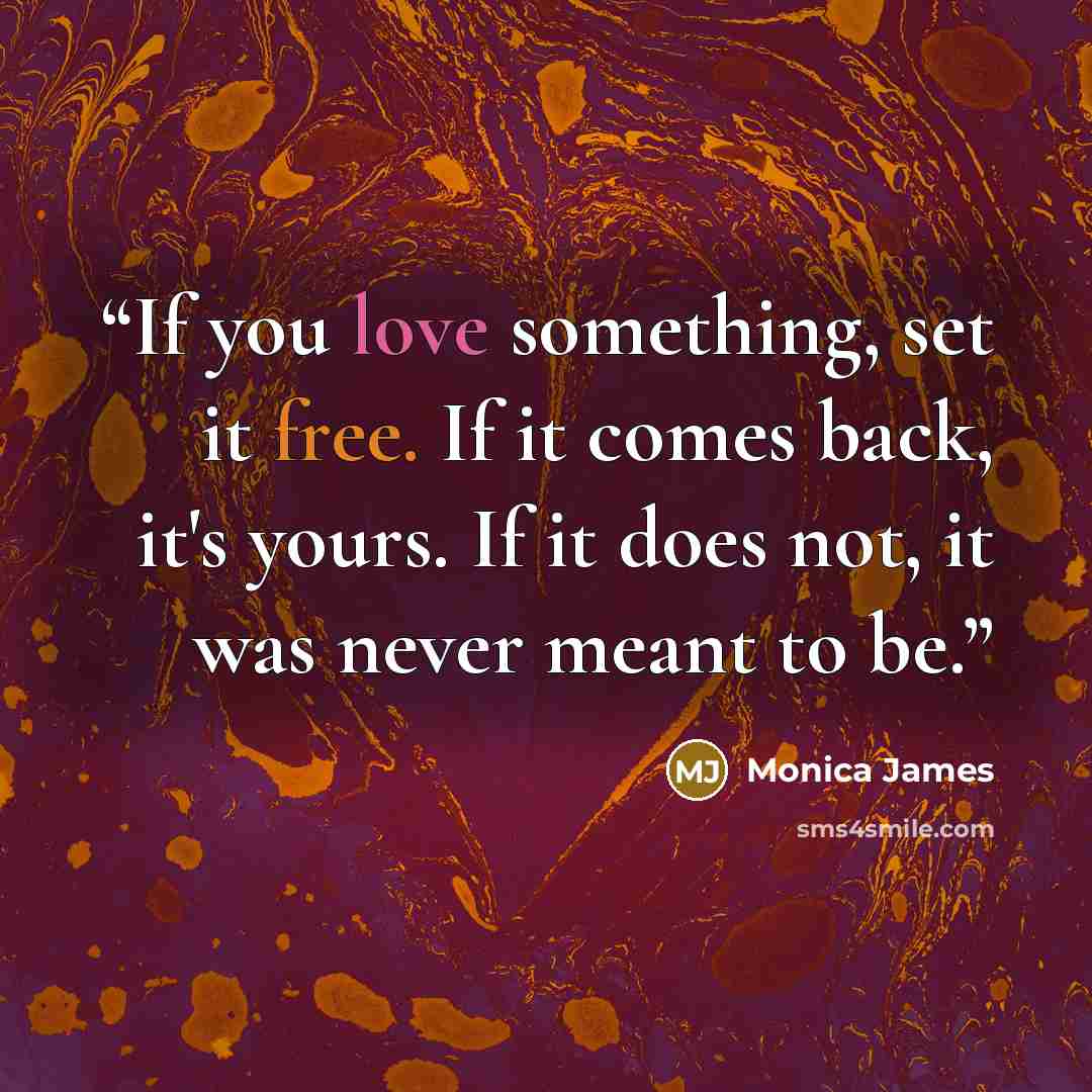 “If you love something, set it free. If it comes back, it's yours. If it does not, it was never meant to be.” quote by Monica James