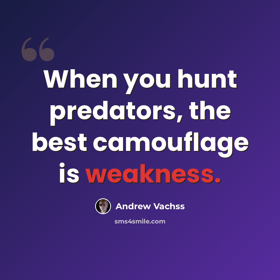 “When you hunt predators, the best camouflage is weakness.” quote by Andrew Vachss