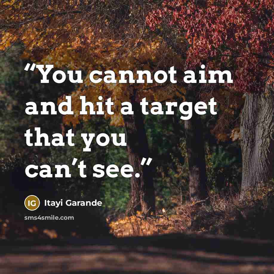“You cannot aim and hit a target that you can’t see.” quote by Itayi Garande