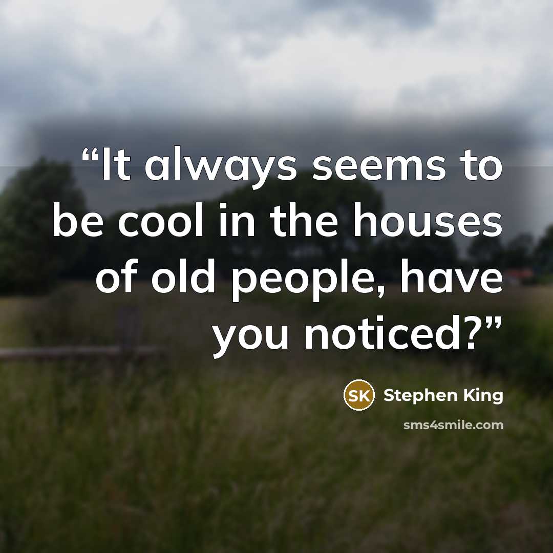 “It always seems to be cool in the houses of old people, have you noticed?” quote by Stephen King