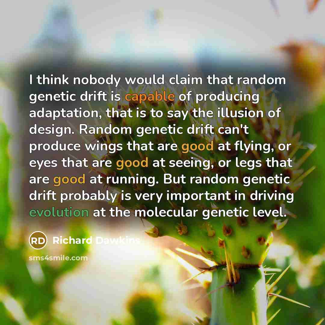 “I think nobody would claim that random genetic drift is capable of producing adaptation, that is to say the illusion of design. Random genetic drift can't produce wings that are good at flying, or eyes that are good at seeing, or legs that are good at running. But random genetic drift probably is…” quote by Richard Dawkins