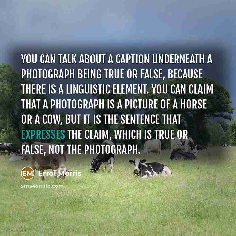 “You can talk about a caption underneath a photograph being true or false, because there is a linguistic element. You can claim that a photograph is a picture of a horse or a cow, but it is the sentence that expresses the claim, which is true or false, not the photograph.” quote by Errol Morris
