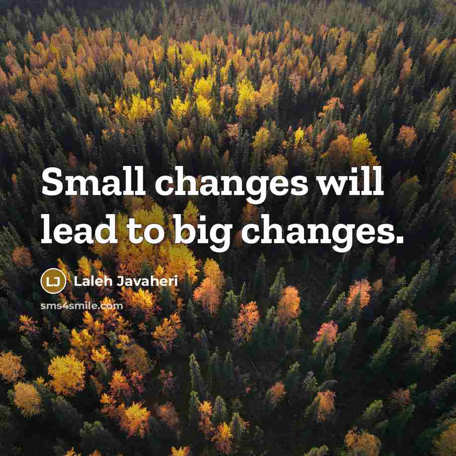 “Small changes will lead to big changes.” quote by Laleh Javaheri