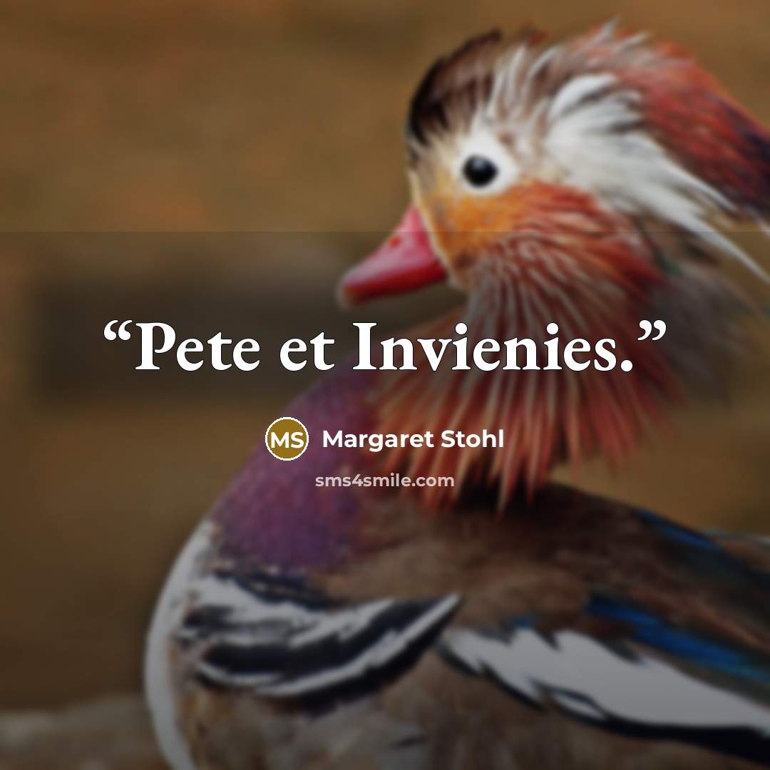 “Pete et Invienies.” quote by Margaret Stohl