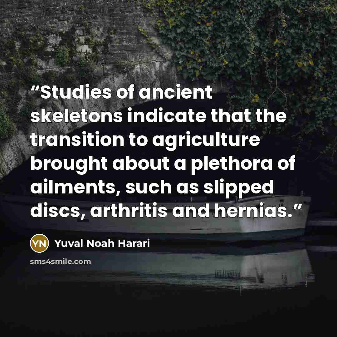 “Studies of ancient skeletons indicate that the transition to agriculture brought about a plethora of ailments, such as slipped discs, arthritis and hernias.” quote by Yuval Noah Harari