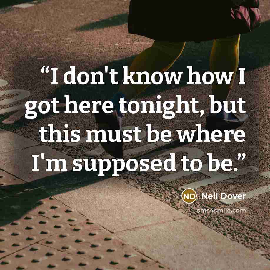 “I don't know how I got here tonight, but this must be where I'm supposed to be.” quote by Neil Dover