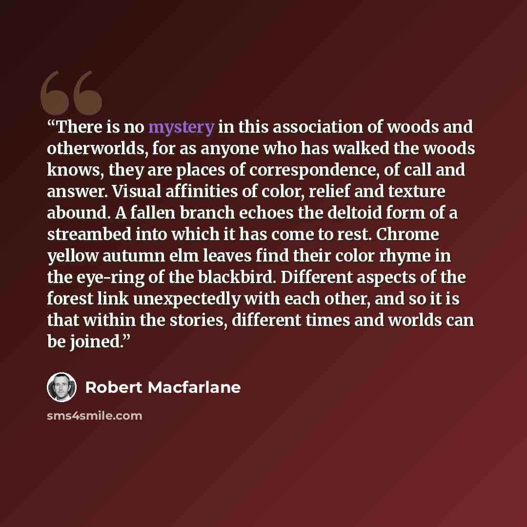 “There is no mystery in this association of woods and otherworlds, for as anyone who has walked the woods knows, they are places of correspondence, of call and answer. Visual affinities of color, relief and texture abound. A fallen branch echoes the deltoid form of a streambed into which it has…” quote by Robert Macfarlane