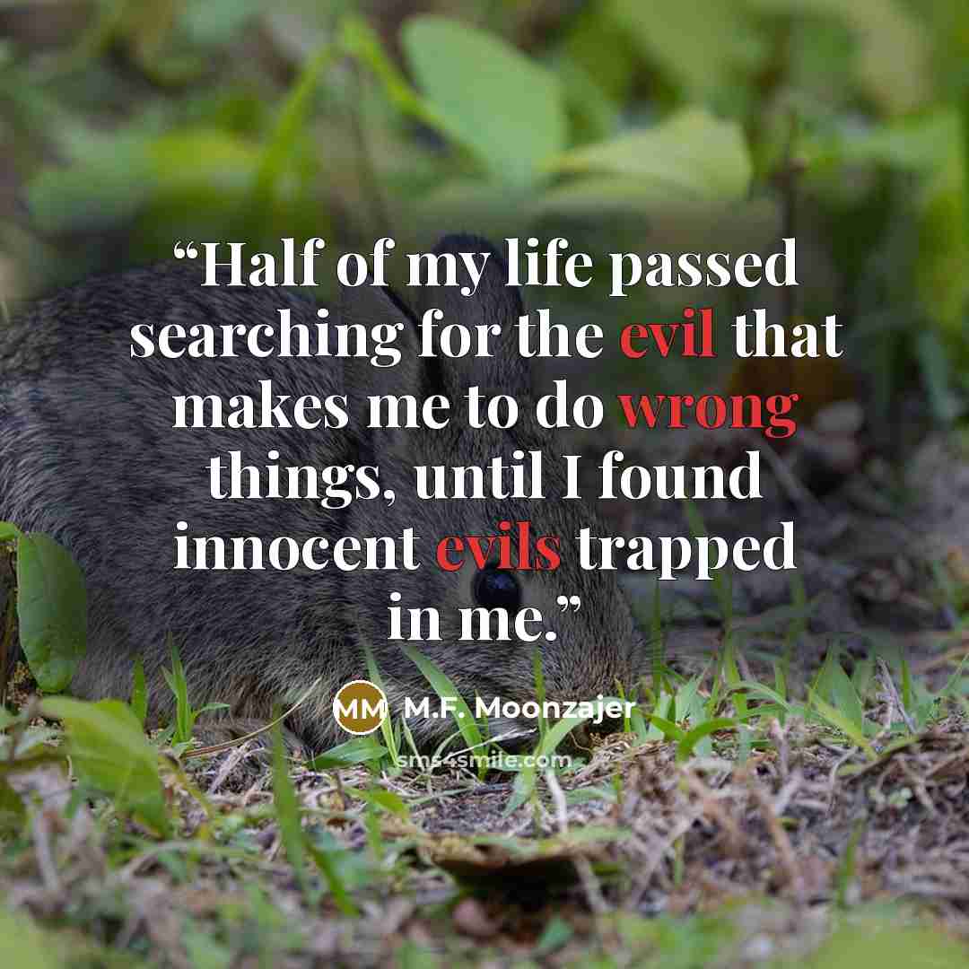 “Half of my life passed searching for the evil that makes me to do wrong things, until I found innocent evils trapped in me.” quote by M.F. Moonzajer