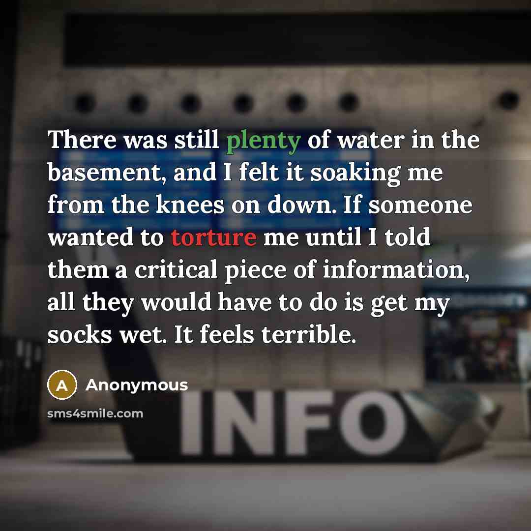 “There was still plenty of water in the basement, and I felt it soaking me from the knees on down. If someone wanted to torture me until I told them a critical piece of information, all they would have to do is get my socks wet. It feels terrible.” quote by Anonymous