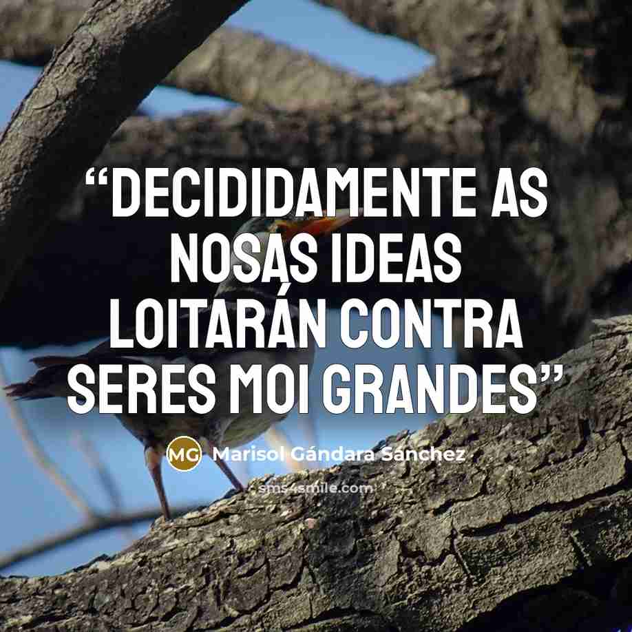 “Decididamente as nosas ideas loitarán contra seres moi grandes” quote by Marisol Gándara Sánchez