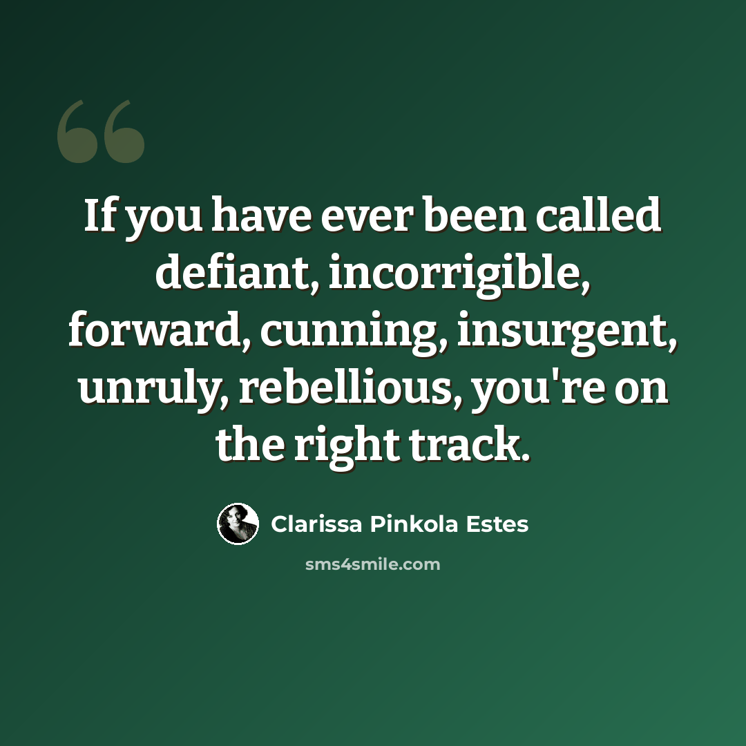 “If you have ever been called defiant, incorrigible, forward, cunning, insurgent, unruly, rebellious, you're on the right track.” quote by Clarissa Pinkola Estes