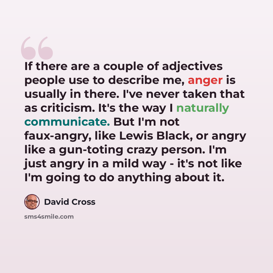 “If there are a couple of adjectives people use to describe me, anger is usually in there. I've never taken that as criticism. It's the way I naturally communicate. But I'm not faux-angry, like Lewis Black, or angry like a gun-toting crazy person. I'm just angry in a mild way - it's not like I'm…” quote by David Cross