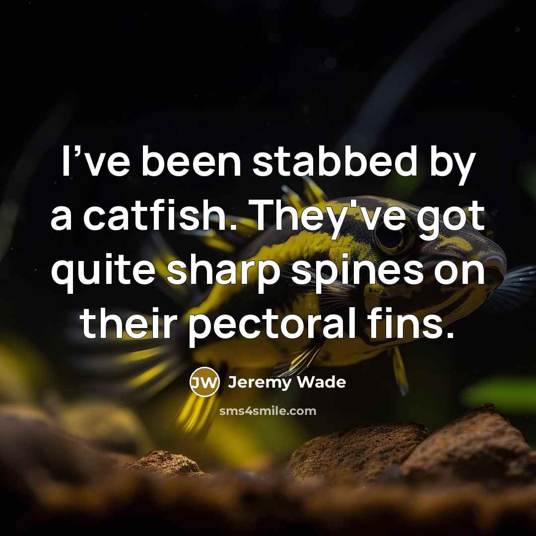 “I've been stabbed by a catfish. They've got quite sharp spines on their pectoral fins.” quote by Jeremy Wade