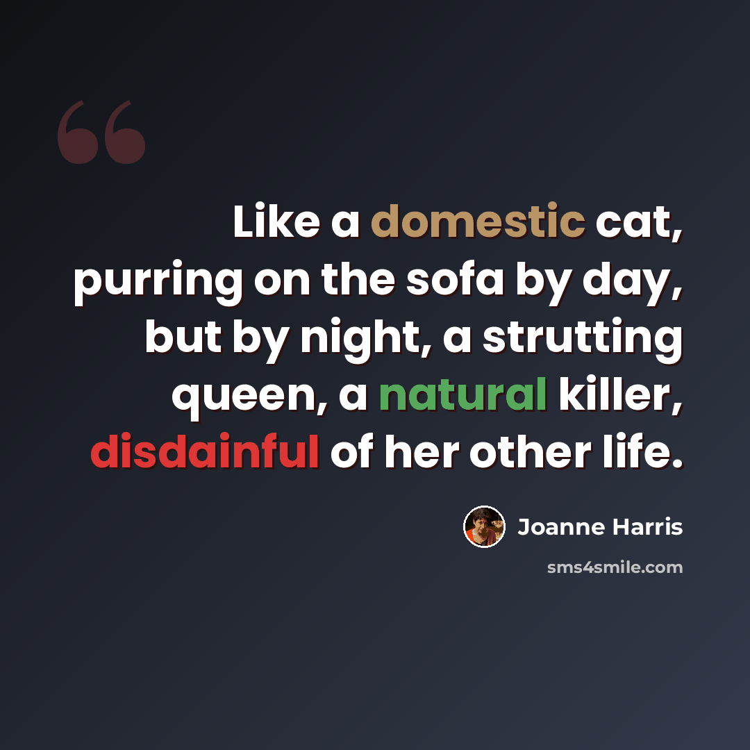 “Like a domestic cat, purring on the sofa by day, but by night, a strutting queen, a natural killer, disdainful of her other life.” quote by Joanne Harris