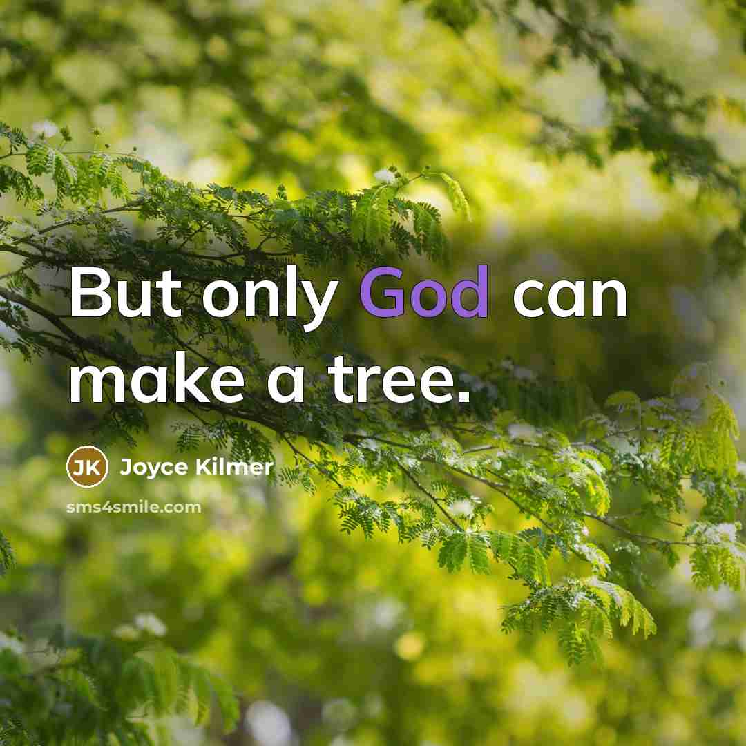 “But only God can make a tree.” quote by Joyce Kilmer