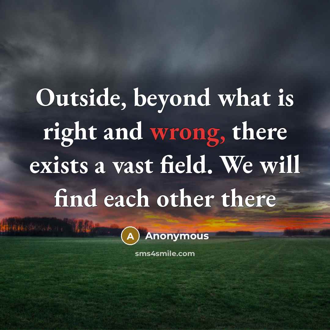 “Outside, beyond what is right and wrong, there exists a vast field. We will find each other there” quote by Anonymous