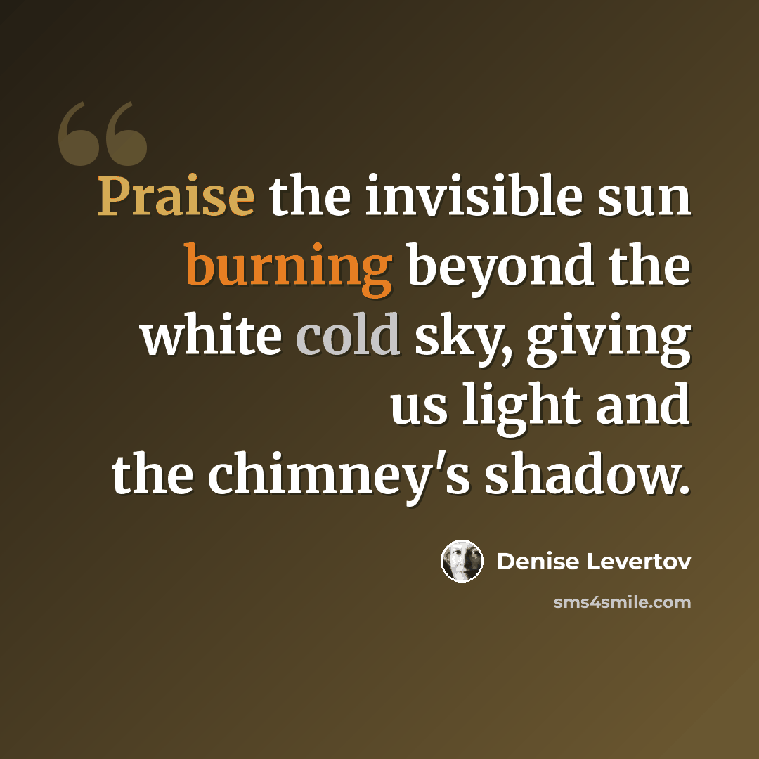 “Praise the invisible sun burning beyond the white cold sky, giving us light and the chimney's shadow.” quote by Denise Levertov