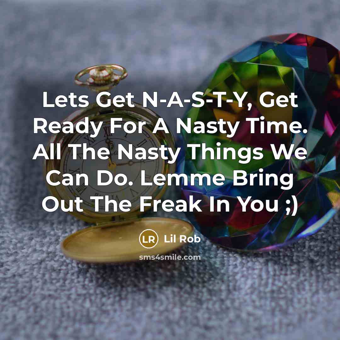 “Lets Get N-A-S-T-Y, Get Ready For A Nasty Time. All The Nasty Things We Can Do. Lemme Bring Out The Freak In You ;)” quote by Lil Rob