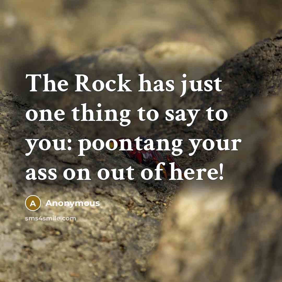 “The Rock has just one thing to say to you: poontang your ass on out of here!” quote by Anonymous
