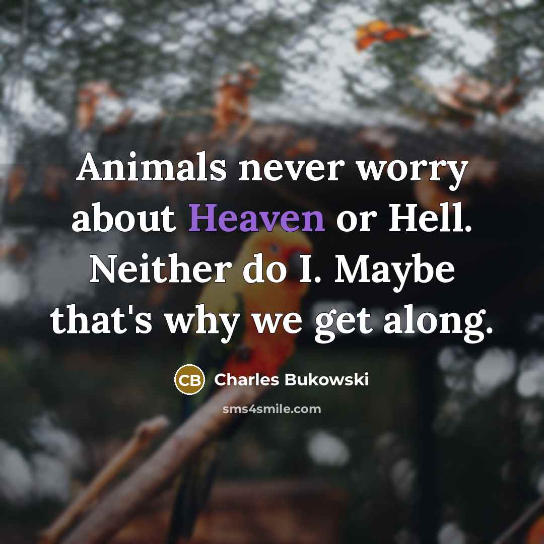 “Animals never worry about Heaven or Hell. Neither do I. Maybe that's why we get along.” quote by Charles Bukowski